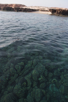 Reserva Natural de las Islas Daymaniyat