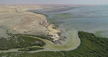 Réserve de zones humides