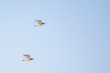 Naturreservat der Feuchtgebiete