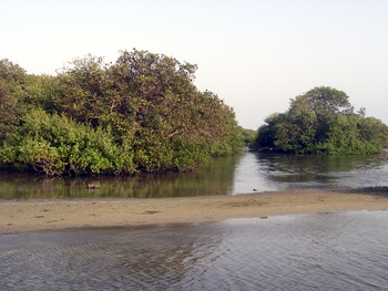 Naturreservat der Feuchtgebiete