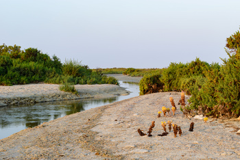 Naturreservat der Feuchtgebiete