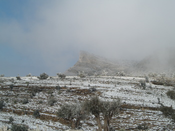 Réserve paysagère d\'Al Jabal Al Akhdar