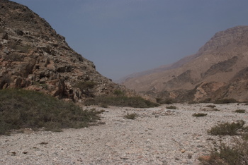 Réserve du Jabal Samhan  