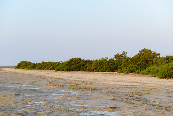Naturreservat der Feuchtgebiete