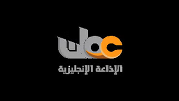 الاذاعات العامة والخاصة