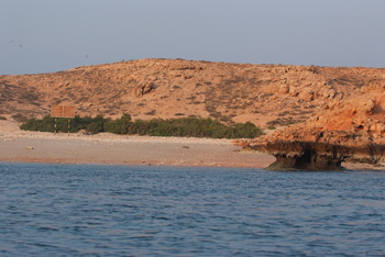 Naturreservat Daymaniyat Inseln