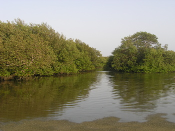 Réserve de zones humides