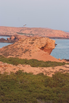 محمية جزر الديمانيات الطبيعية