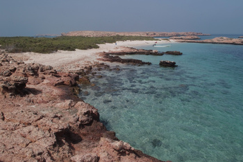 محمية جزر الديمانيات الطبيعية