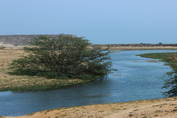 Réserve naturelle de Khor Rori