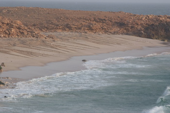 Reserva de las Tortugas en la Gobernación de Al Sharqiyah del Sur – Ras Al Hadd