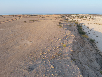 Réserve de Ras Al Shajar – Qurayat