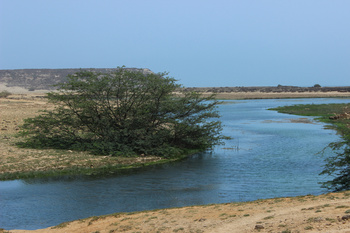 Reserva de Khor Rori