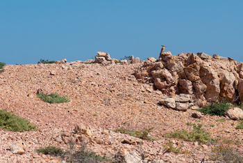 Naturreservat Daymaniyat Inseln