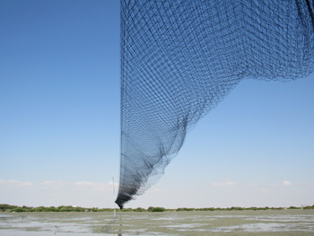 Naturreservat der Feuchtgebiete