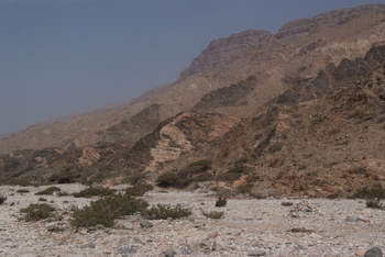 Naturreservat Jabal Samhan
