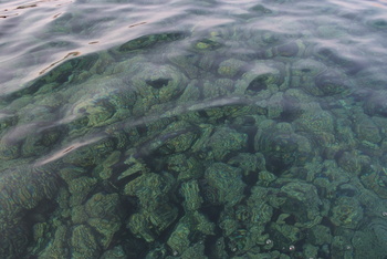 Naturreservat Daymaniyat Inseln