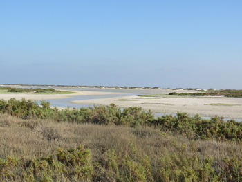 Reserva de Humedales