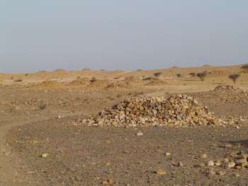 Naturreservat Jabal Qahwan 