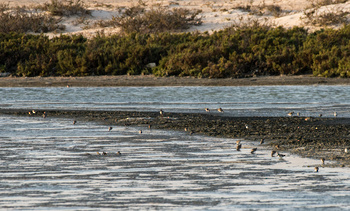 Naturreservat der Feuchtgebiete