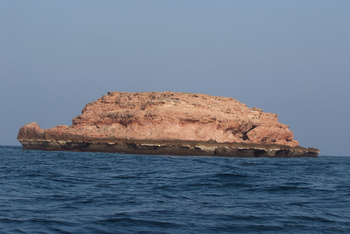 محمية جزر الديمانيات الطبيعية