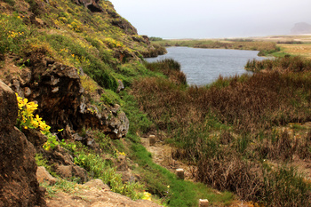 Reserva de Khor Al Mughsail 