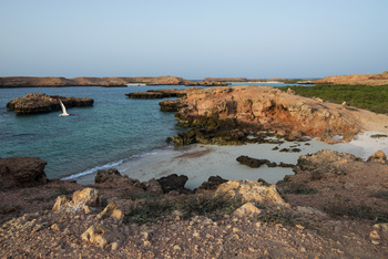 Réserve naturelle des îles Dimaniyat