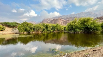 Reserva Natural de Al Sareen 