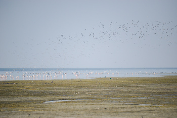 Naturreservat der Feuchtgebiete