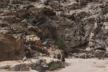 Reserva de Jabal Samhan