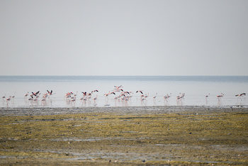 Naturreservat der Feuchtgebiete