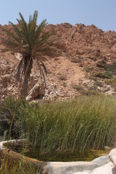 Réserve du Jabal Samhan  