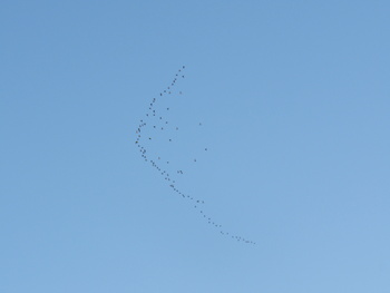 Naturreservat der Feuchtgebiete