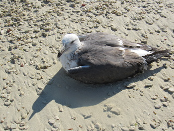  Naturreservat der Feuchtgebiete