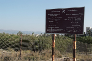 Naturreservat Khor Al Qurm Al Saghir