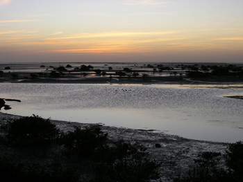 Reserva de Humedales