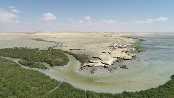 Réserve de zones humides
