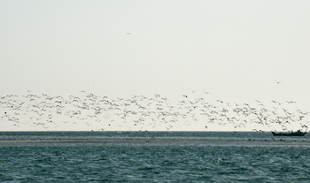Naturreservat der Feuchtgebiete