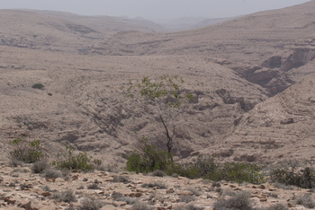 Naturreservat Jabal Samhan