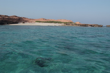 محمية جزر الديمانيات الطبيعية
