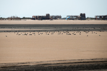 Naturreservat der Feuchtgebiete