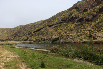 Naturreservat Khor Al Mughsail