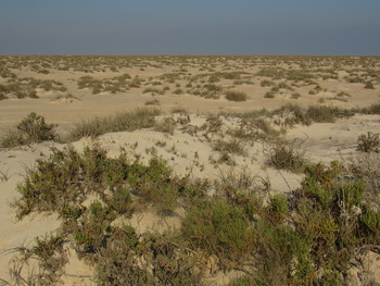Reserva de Humedales