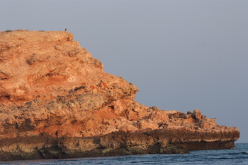 Naturreservat Daymaniyat Inseln