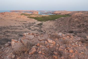 Naturreservat Daymaniyat Inseln