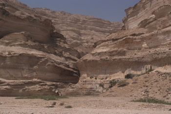 Naturreservat Jabal Samhan