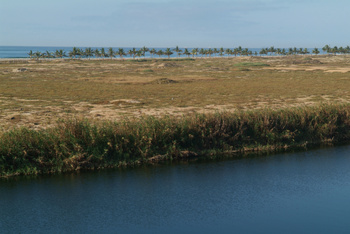 Réserve du khor Al Baleed