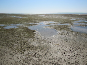 Réserve de zones humides