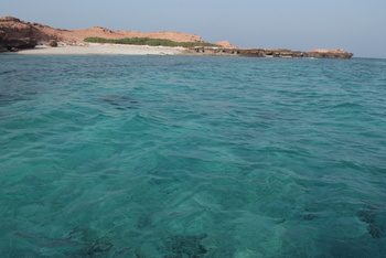Naturreservat Daymaniyat Inseln