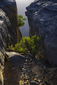 Al Jabal Al Gharbi Starlight Reserve